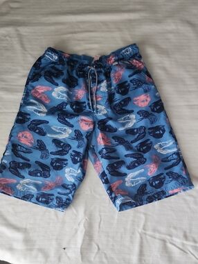 Cat & Jack Light Blue Swim Trunks with Navy and Pink Accents